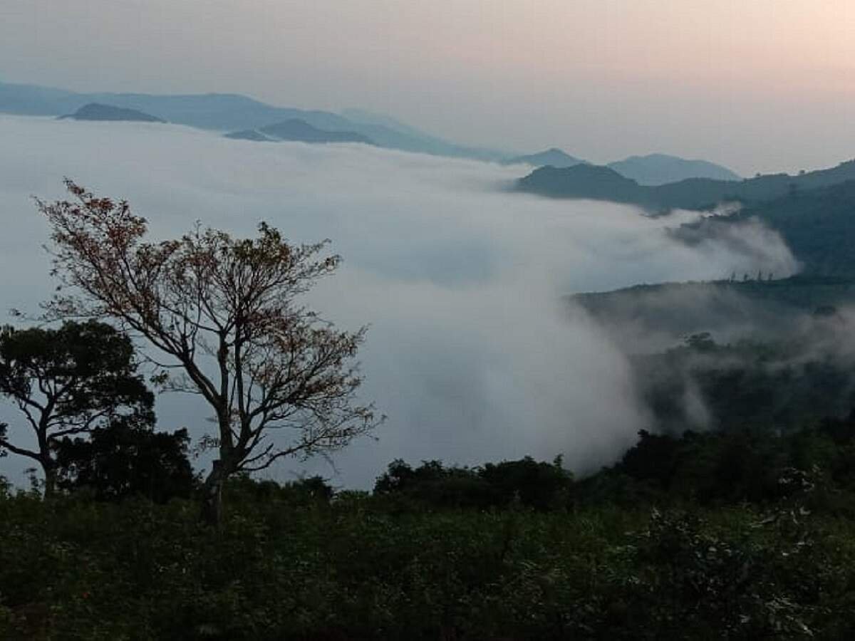 Kakinada to Lambasingi and Vanjangi route - Foggy hills